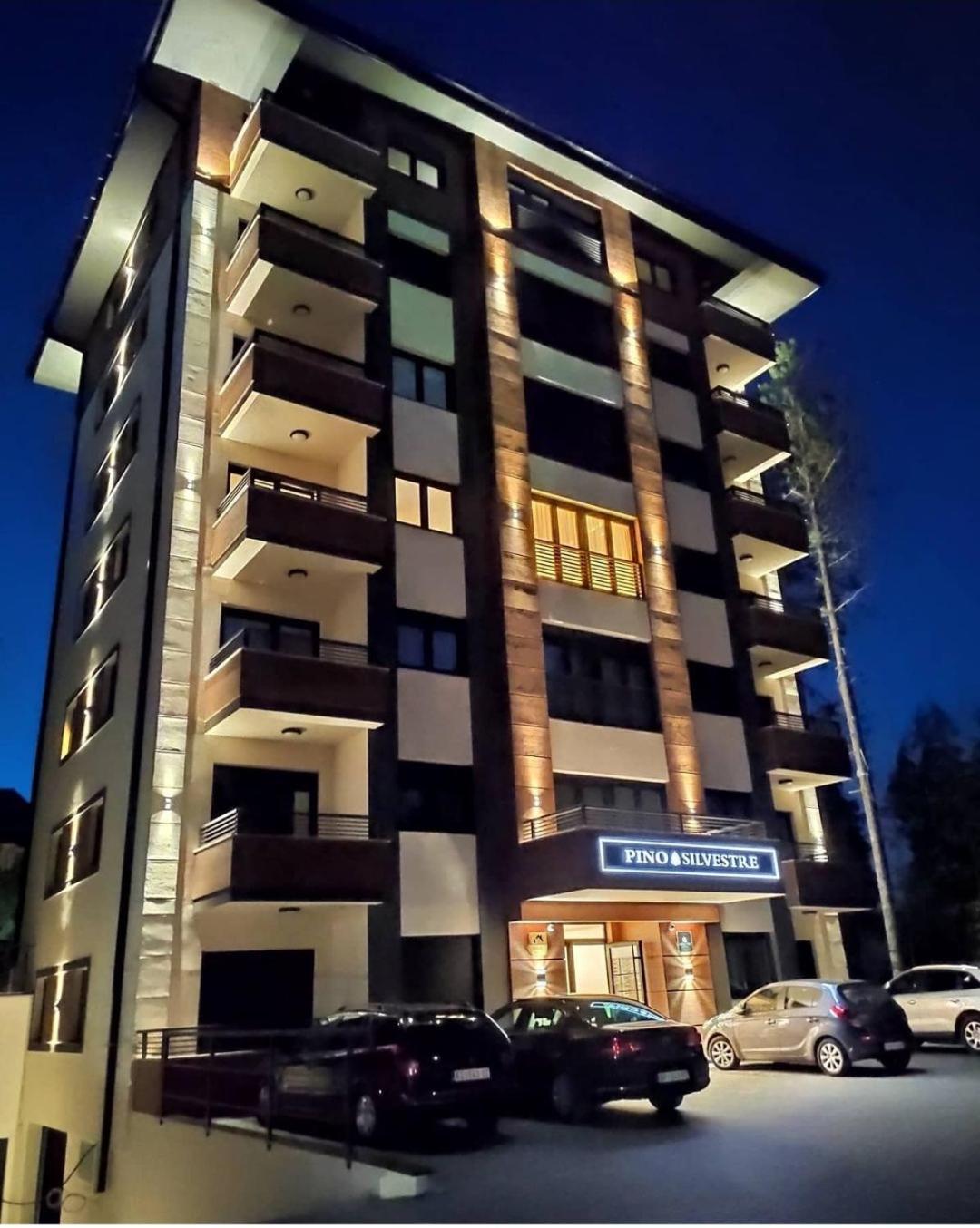 Vila Pino Silvestre Zlatibor Exterior photo